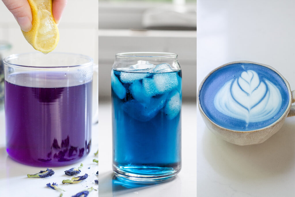 Three ways to use blue butterfly pea flower tea: hot, iced, or latte!