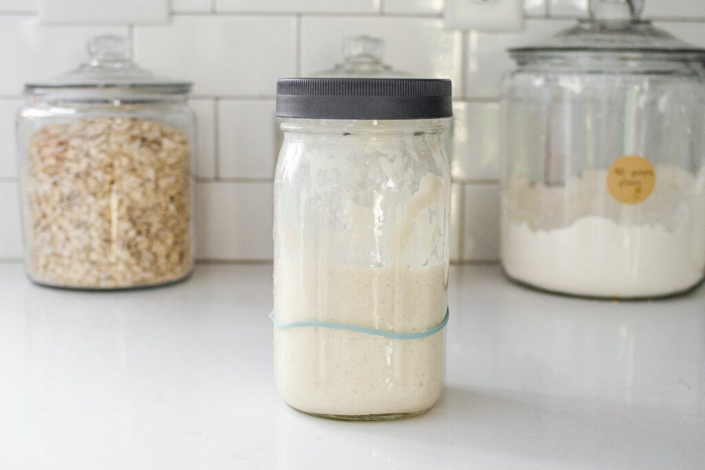 An active sourdough starter in a wide mouth mason jar with a rubber band to show the height of the starter.