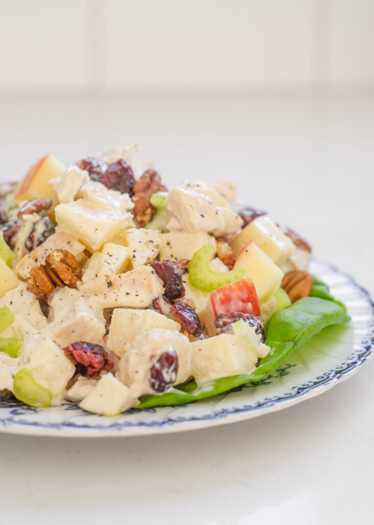A side view of a plate of chicken salad made with cranberries and pecans on a vintage blue plate.