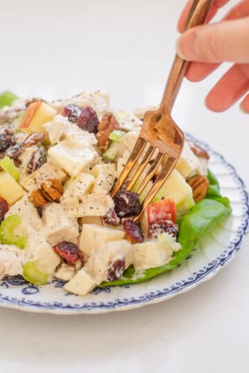 A plate of cranberry pecan chicken salad with lettuce leaves underneath, and a hand poking a fork into the salad.
