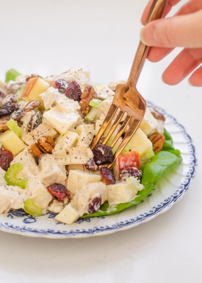 A plate of cranberry pecan chicken salad with lettuce leaves underneath, and a hand poking a fork into the salad.