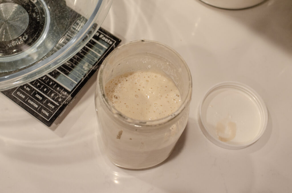 A jar of active sourdough starter next to a kitchen scale on a counter.