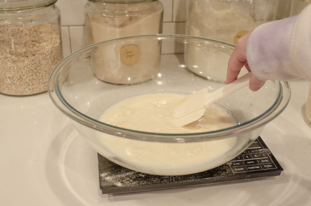 Mixing together the water and sourdough starter in a large bowl.