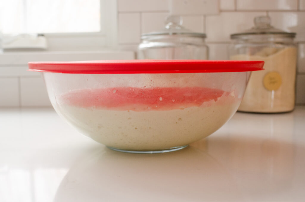 The base of the sourdough coffee cake the next morning, risen in the bowl.