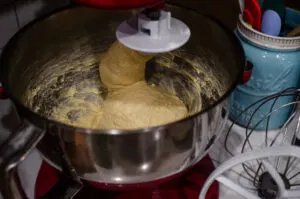 The dough when it's finished kneading.