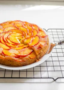 A peach olive oil cake on a plate on a wire rack with a slice cut.