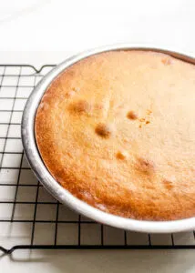 The baked cake on a wire rack cooling.