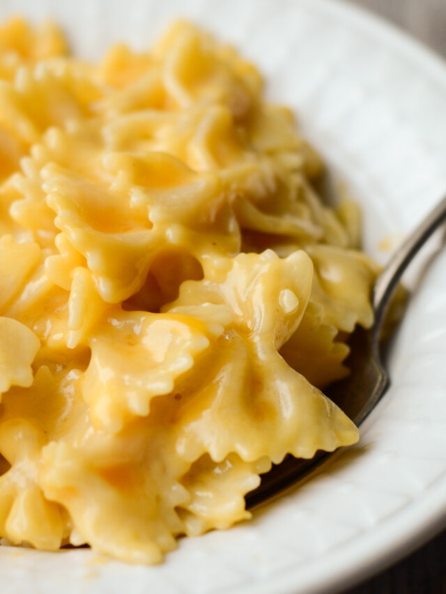 Easy Stovetop Macaroni and Cheese from Scratch!