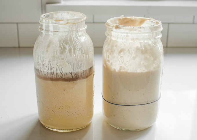 A jar of sourdough starter with hooch and another jar next to it with a healthy starter.