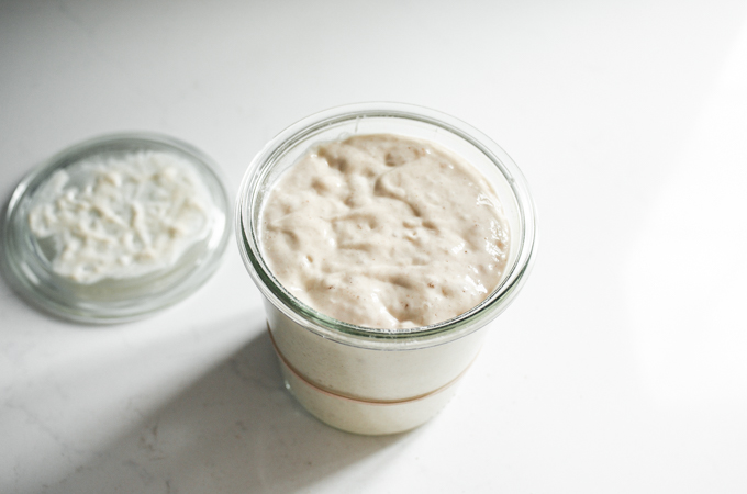 A starter that has reached peak fermentation. 