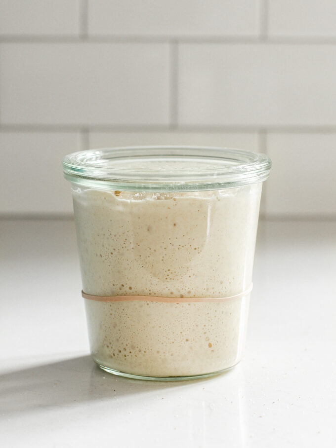 A strong sourdough starter in a Weck jar on a white countertop with a subway tile backsplash.
