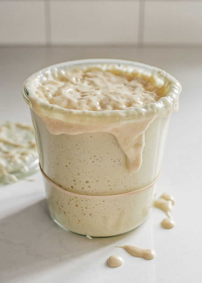 Sourdough starter dripping over the edge of a jar.