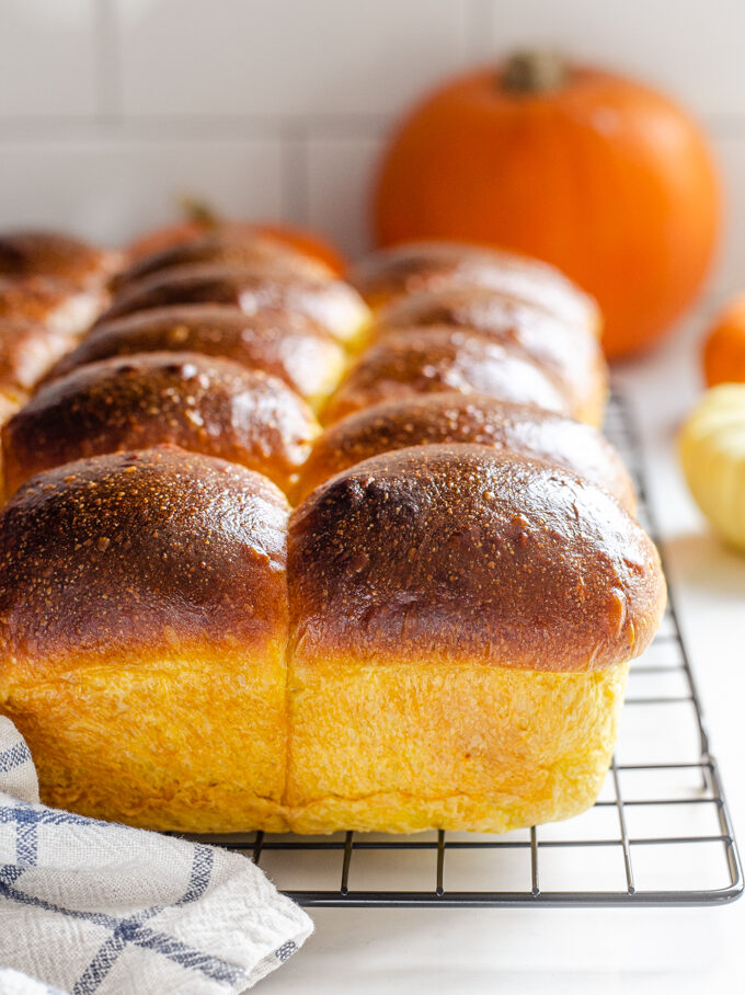 Pumpkin sourdough dinner rolls on a black wire cooling rack.