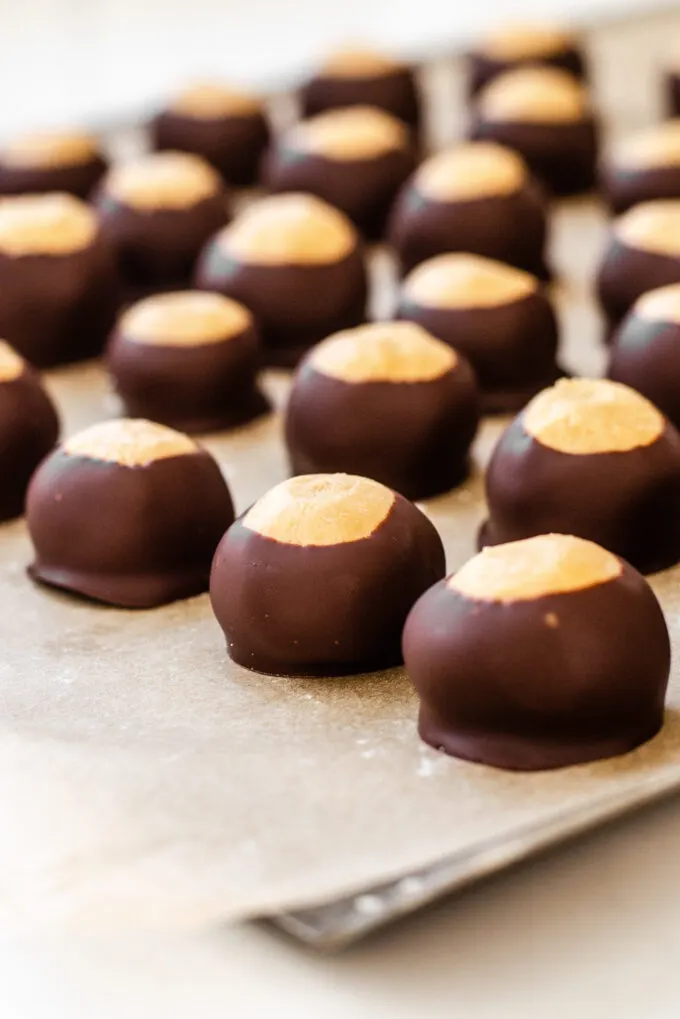 Buckeye recipe without shortening all lined up on a parchment lined baking tray.