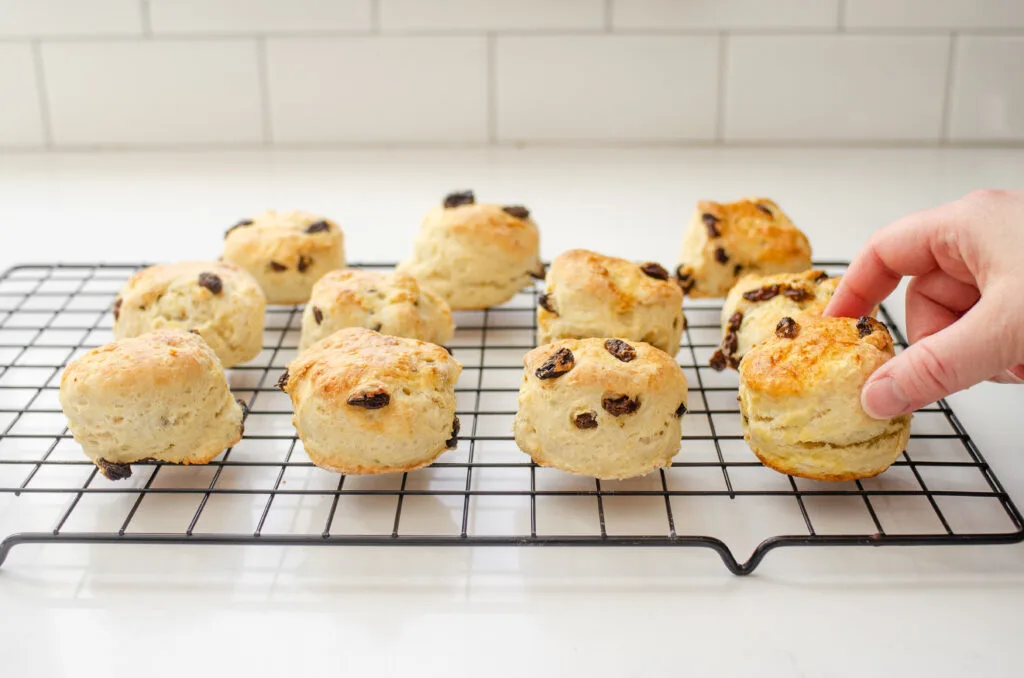 Placing the baked scones on a wire cooling rack to finish cooling.