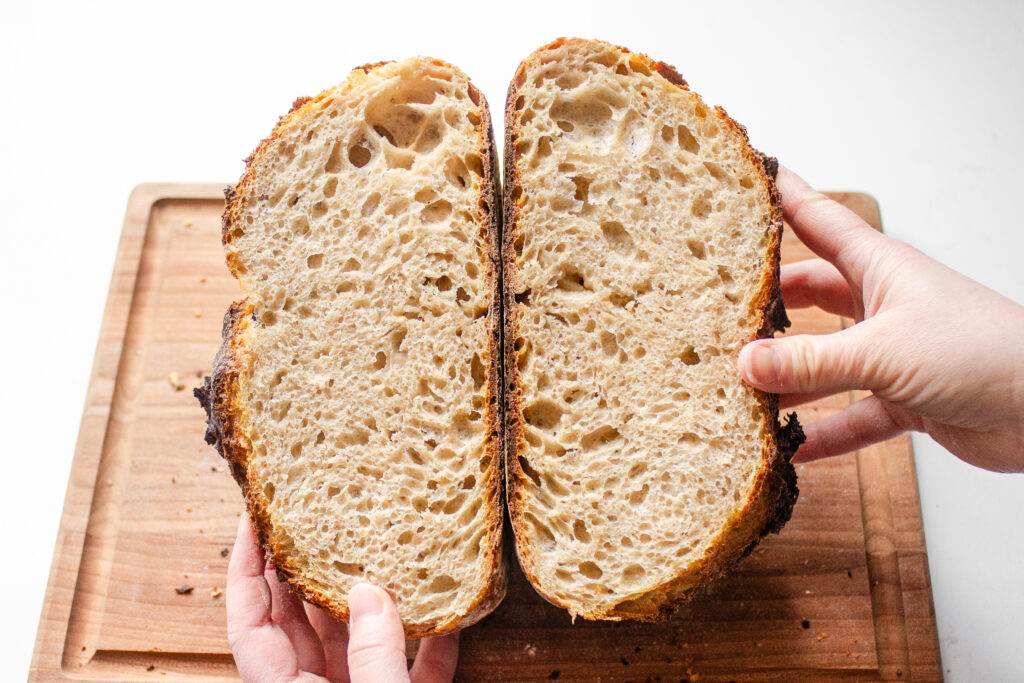 A crumb shot of a loaf of artisan sourdough bread made with 50% whole wheat, 50% white bread flour.