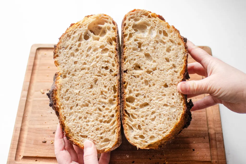 A crumb shot of a loaf of artisan sourdough bread made with 50% whole wheat, 50% white bread flour.