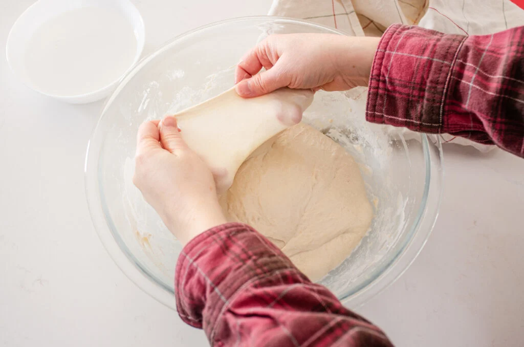Showing sourdough bread dough with proper gluten development.