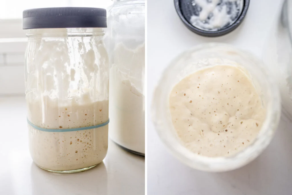 A diptych showing a sourdough starter in a jar from the side and from above.