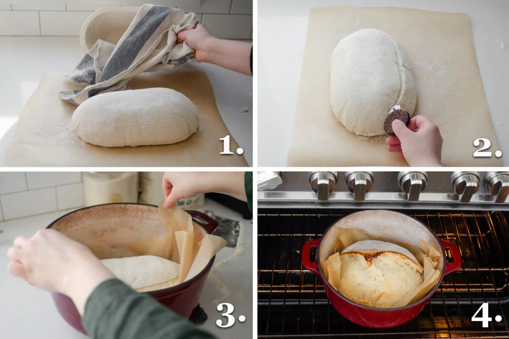 A photo collage showing scoring a loaf of artisan sourdough bread, putting it in the Dutch oven, and the Dutch oven in a regular oven.