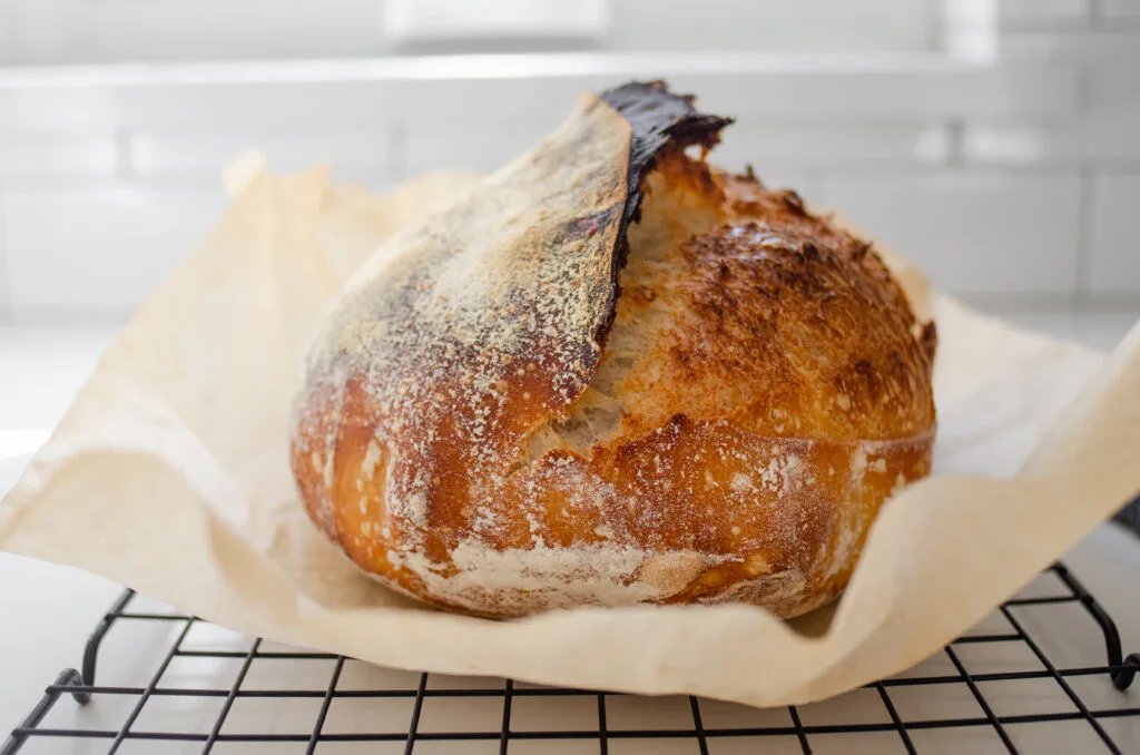 A loaf of sourdough bread on a piece of parchment paper on a wire rack to cool.