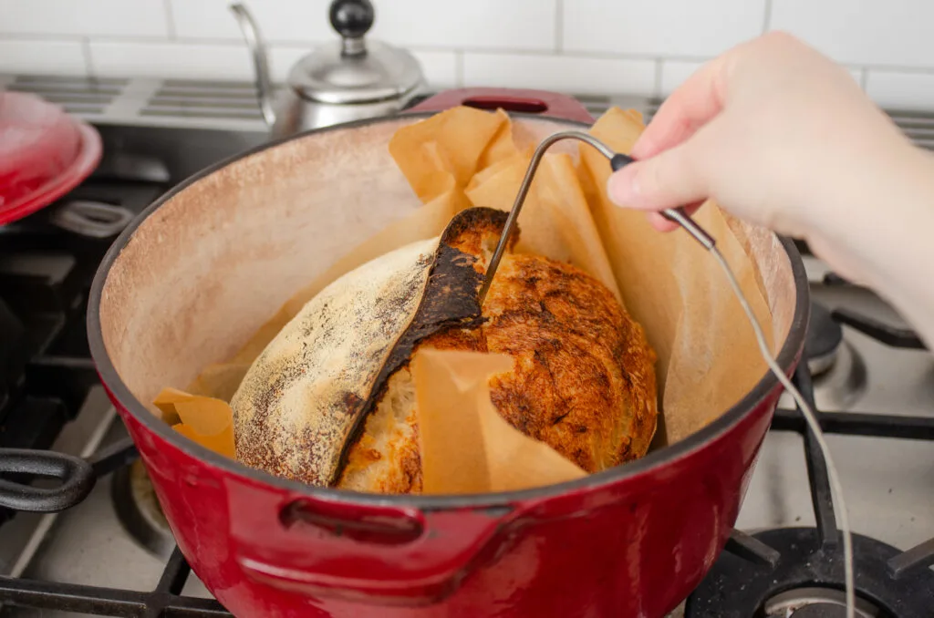 Placing a probe thermometer into a loaf of sourdough bread to test for doneness.