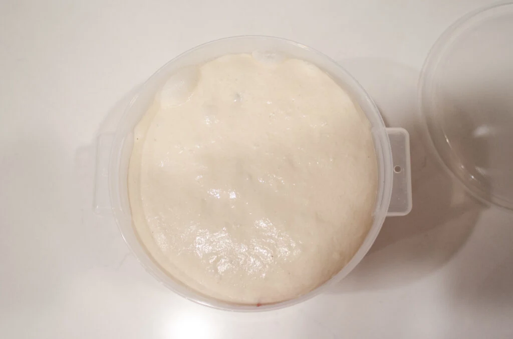 A top down view of the sourdough bread dough showing the bubbles around the edges.
