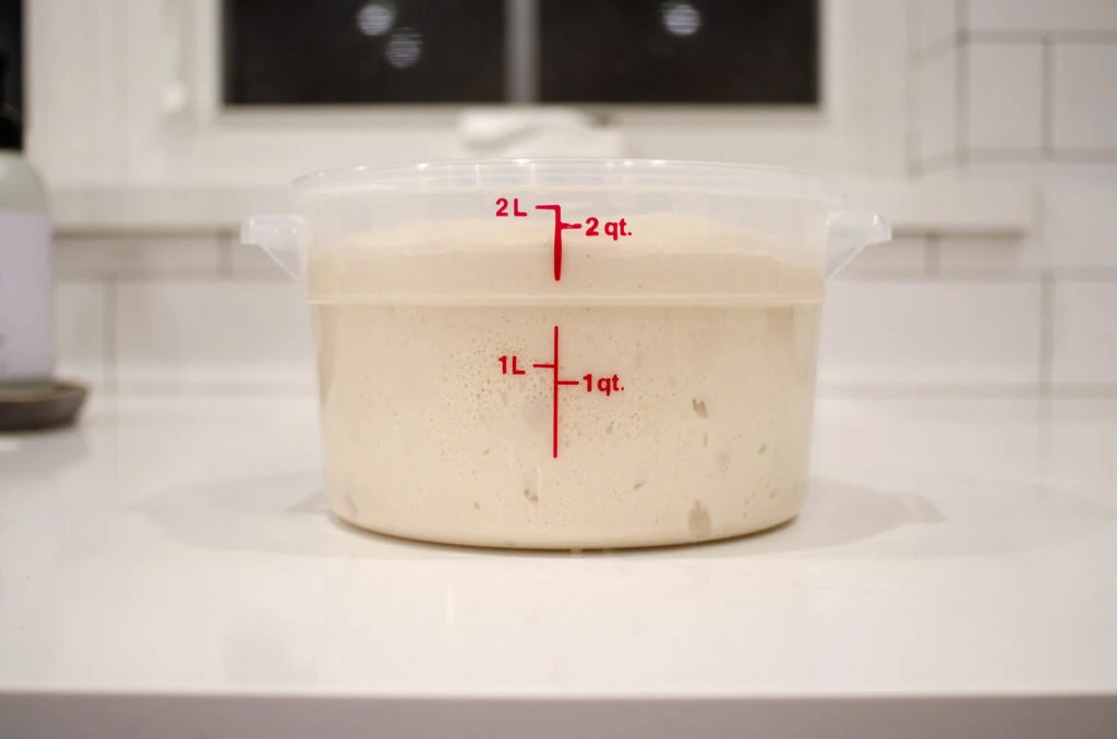 After the bulk ferment, with the dough doubled.