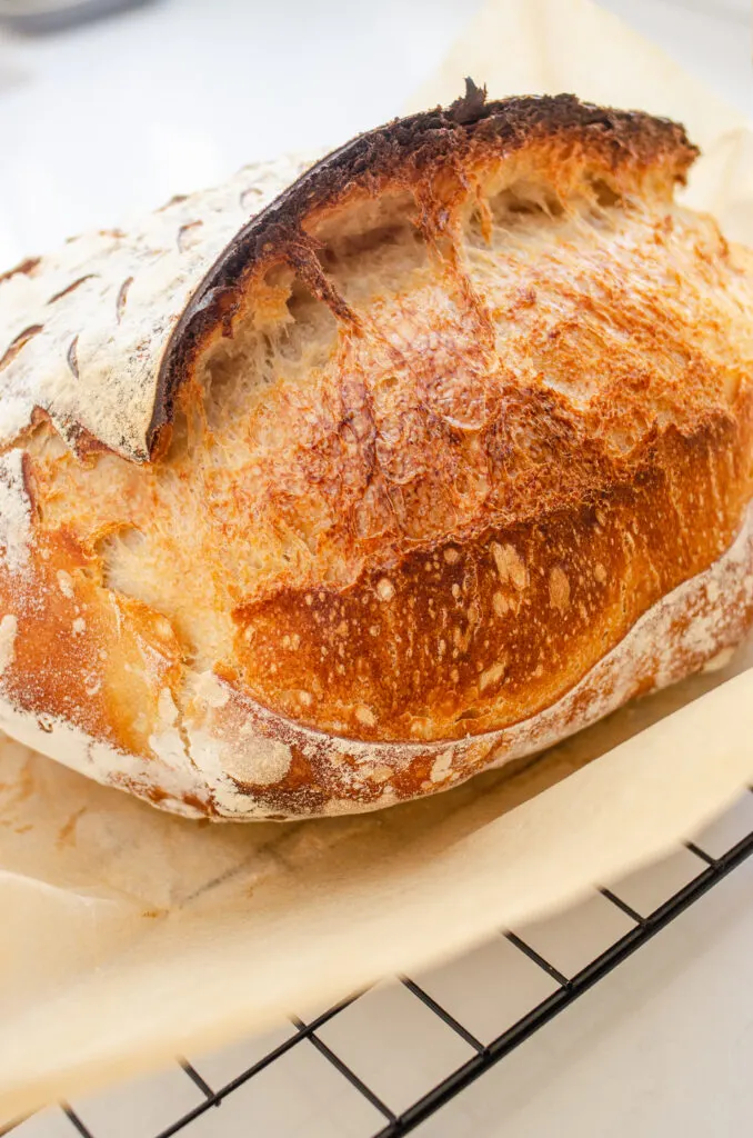 A sourdough batard on a wire cooling rack.