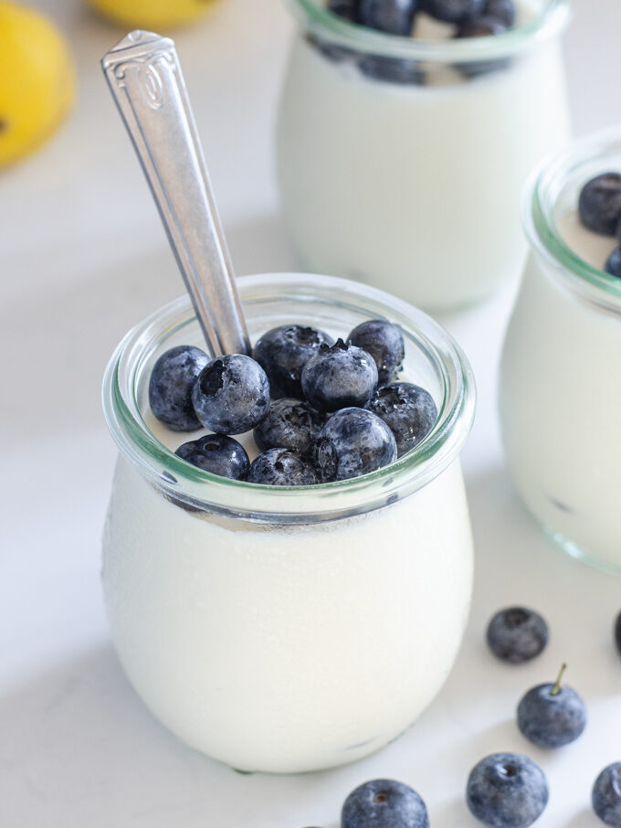 Jars of yogurt panna cotta with blueberries in them.