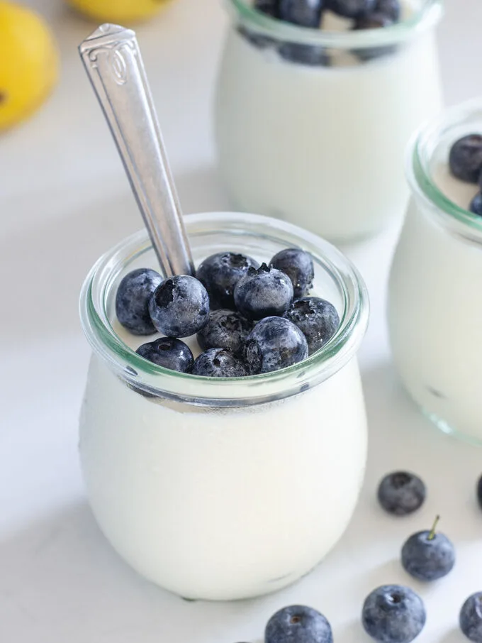 Jars of yogurt panna cotta with blueberries in them.