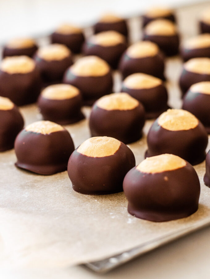 Buckeye recipe without shortening all lined up on a parchment lined baking tray.