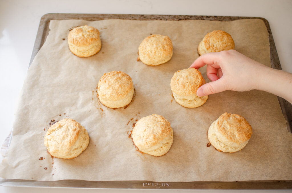 The baked scones on the baking sheet.