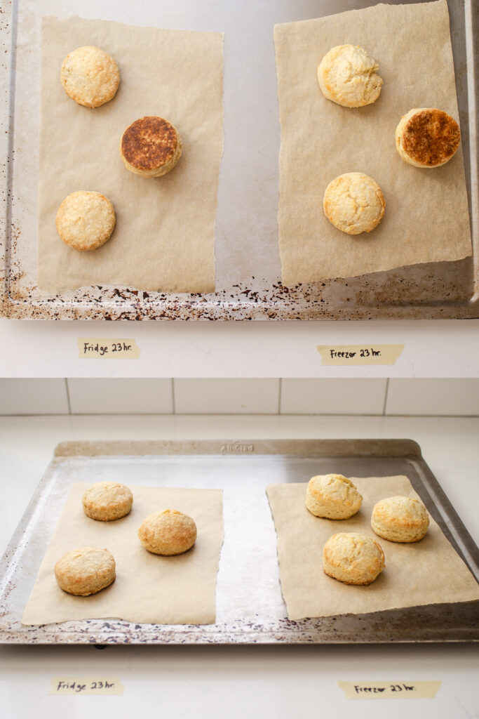A vertical diptych showing the difference between sourdough scone dough stored in the refrigerator vs freezer once baked.