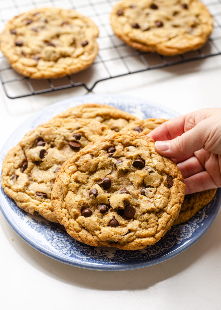 Einkorn flour chocolate chip cookies on a blue floral plate with a hand holding one of the cookies, and more cookies on a wire cooling rack in the background.