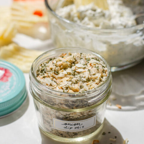 Onion Dip Mix Recipe