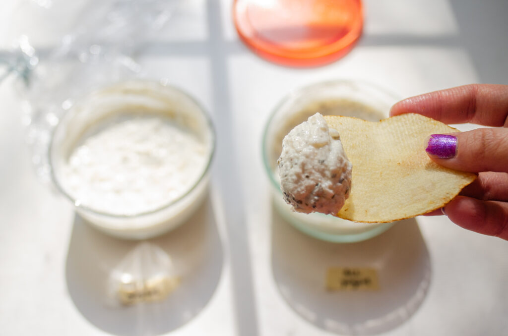 A hand holding a chip with the all Greek yogurt dip on it.