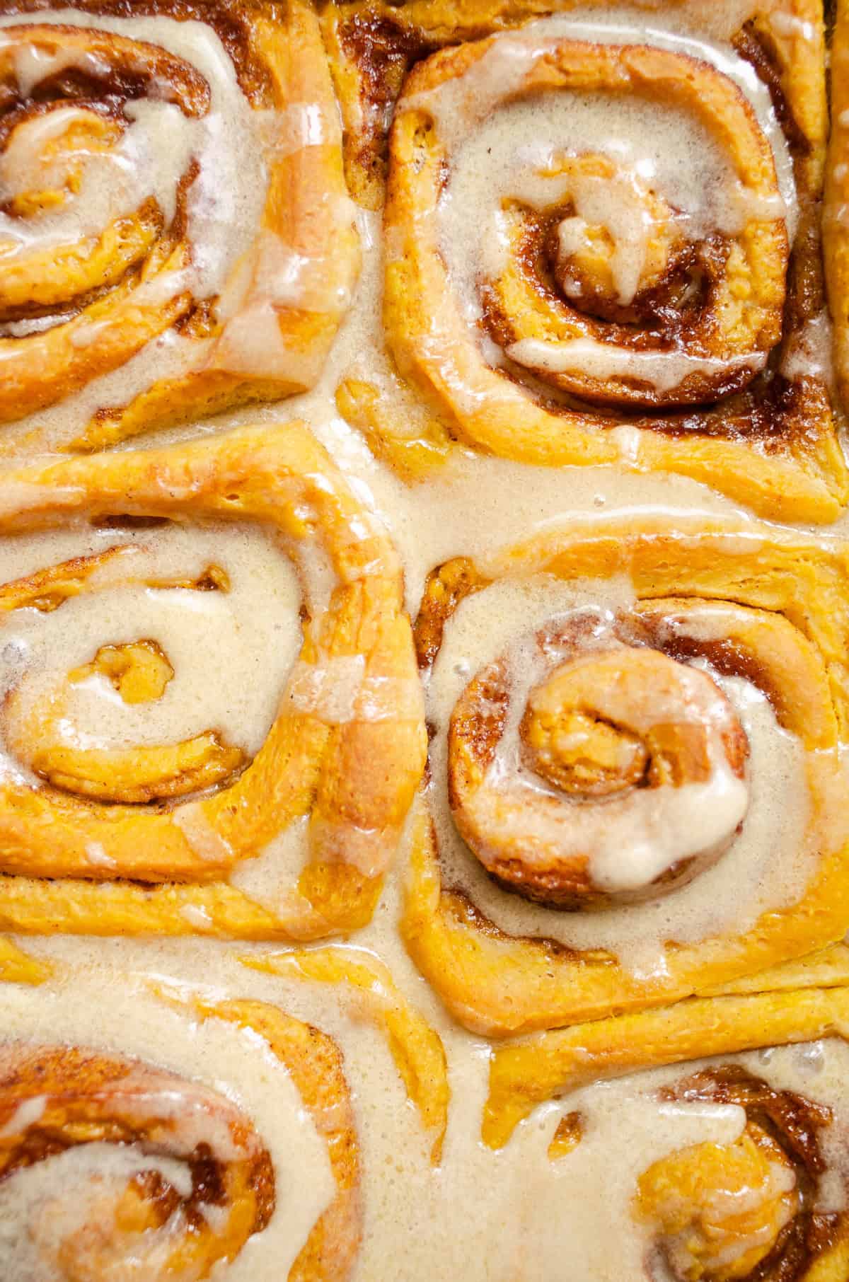 A top down, close up shot of the finished, frosted sourdough pumpkin cinnamon rolls.