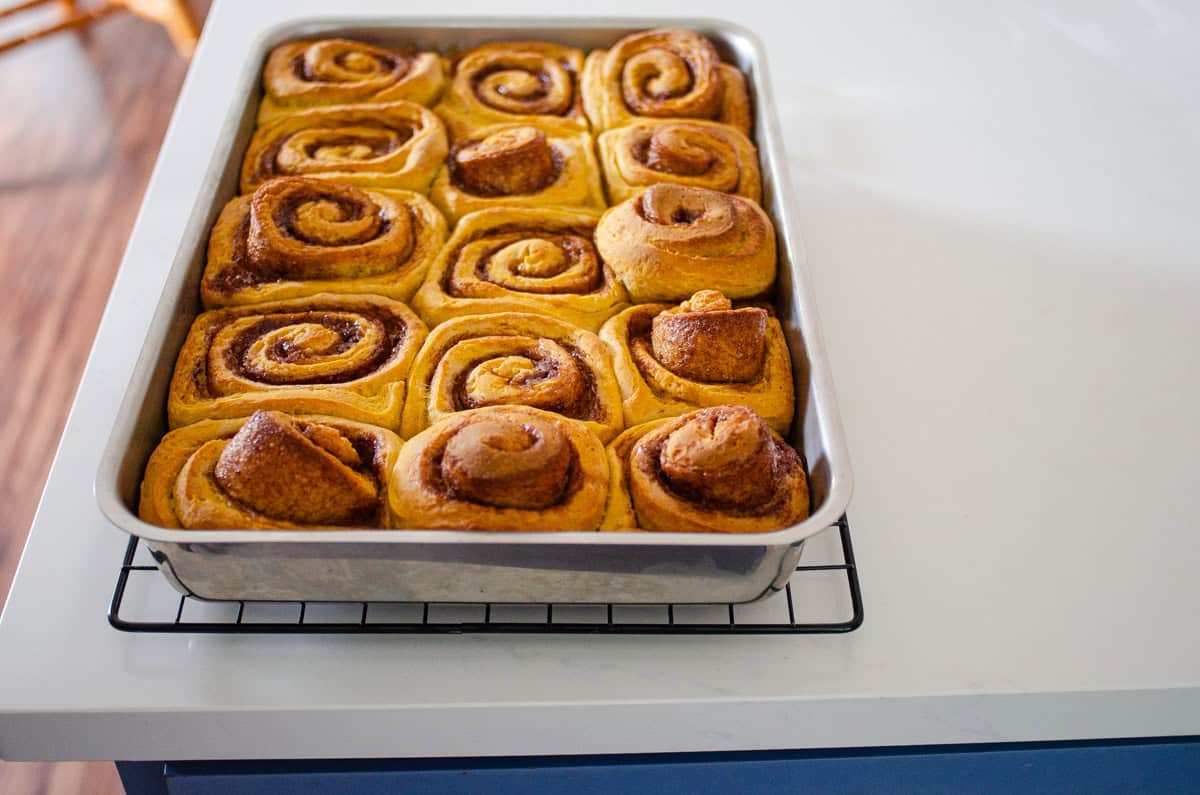 The finished baked pumpkin sourdough cinnamon rolls in a stainless steel pan on a white countertop.